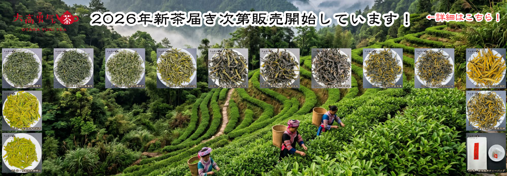 2026年新茶バナー