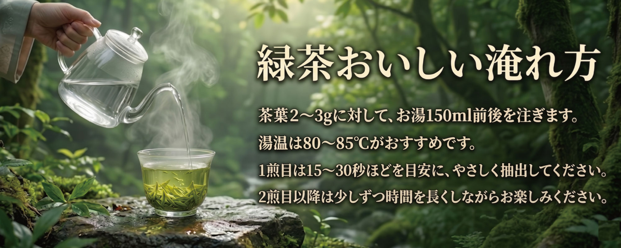 緑茶おいしい淹れ方