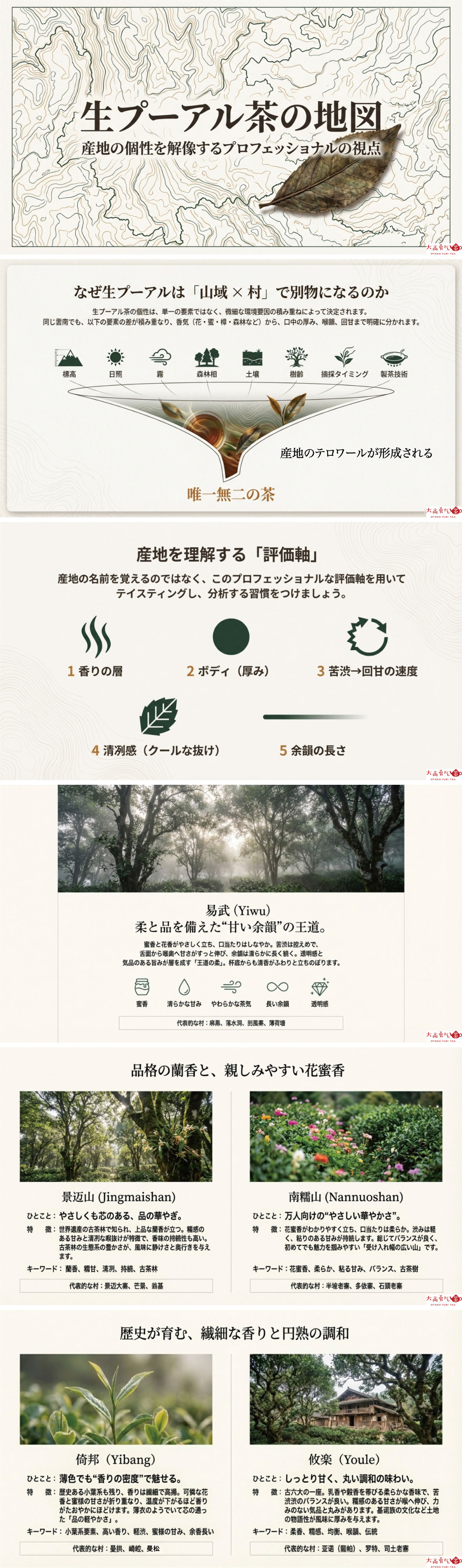 生プーアル茶産地の資料画像 1
