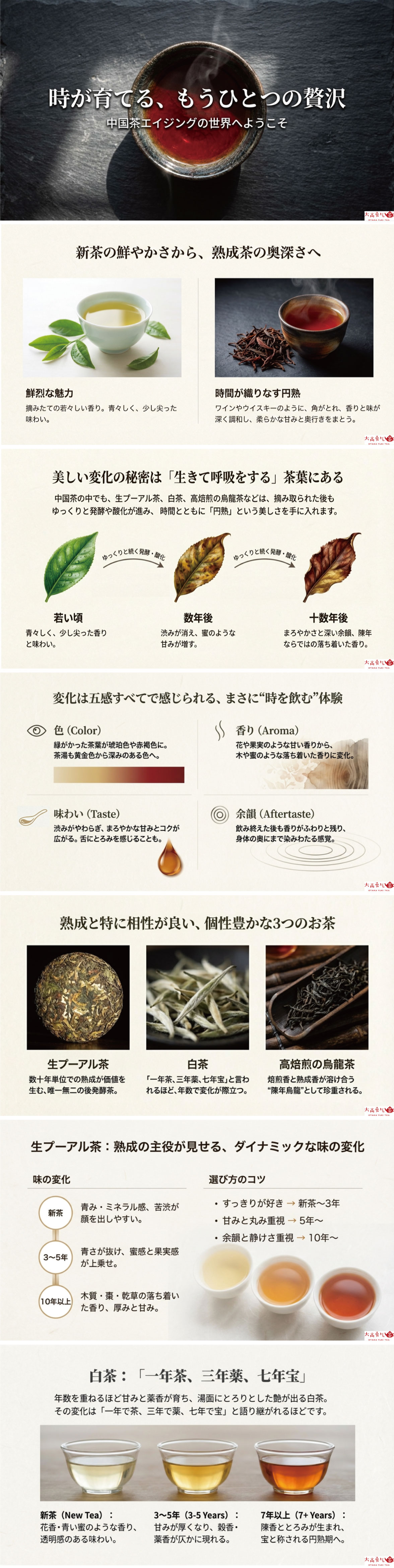 時が育てる、もうひとつの贅沢 ─ 中国茶のエイジングの資料画像 1