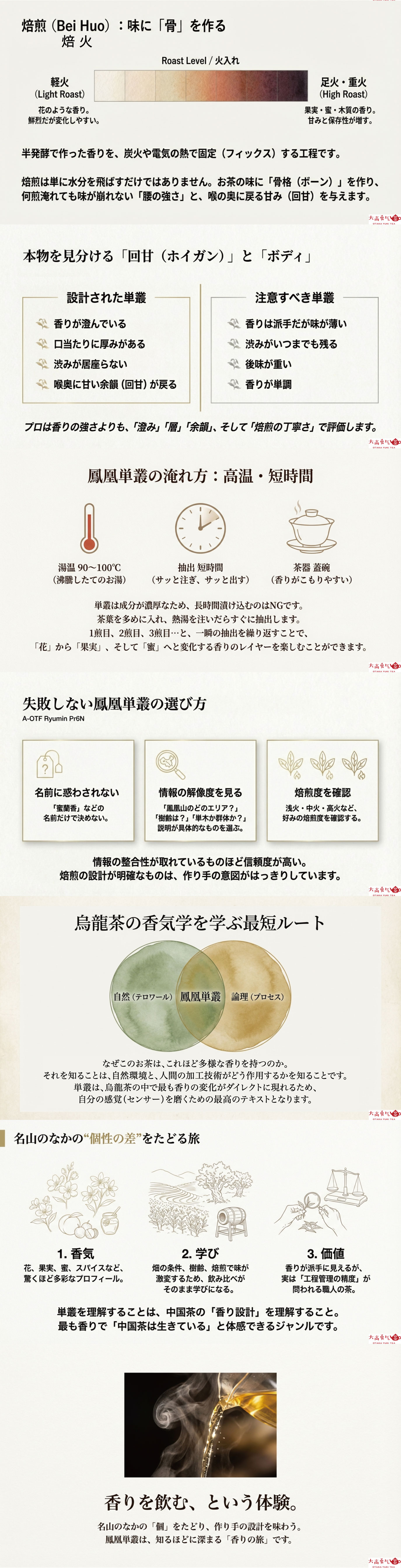 中国茶解説・鳳凰単叢【烏龍茶】の資料画像 2