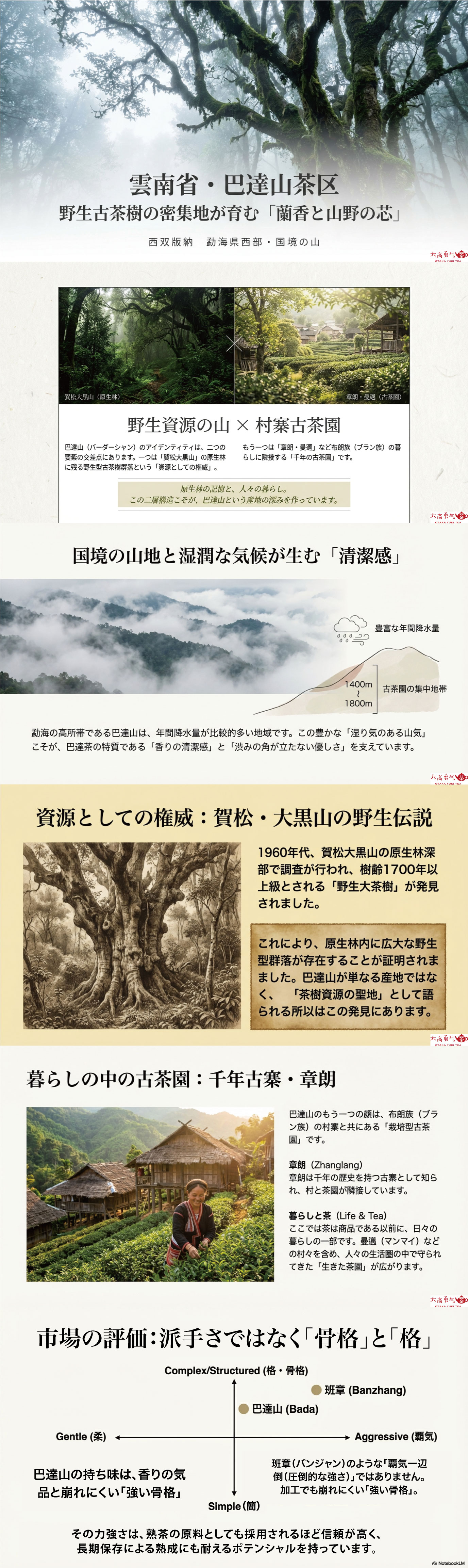 産地解説・雲南／巴達山の資料画像 1