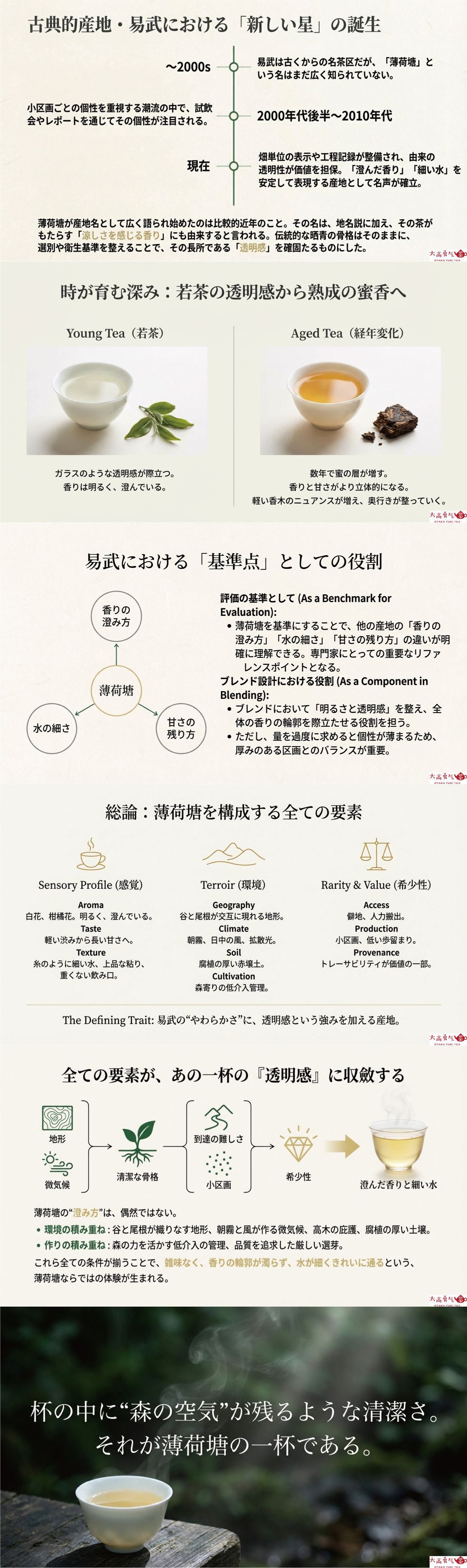 産地解説・雲南／易武薄荷塘の資料画像 2