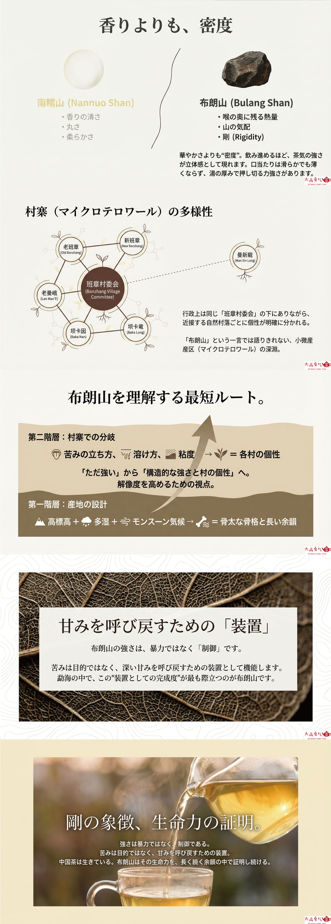 産地解説・雲南／布朗山の資料画像 2