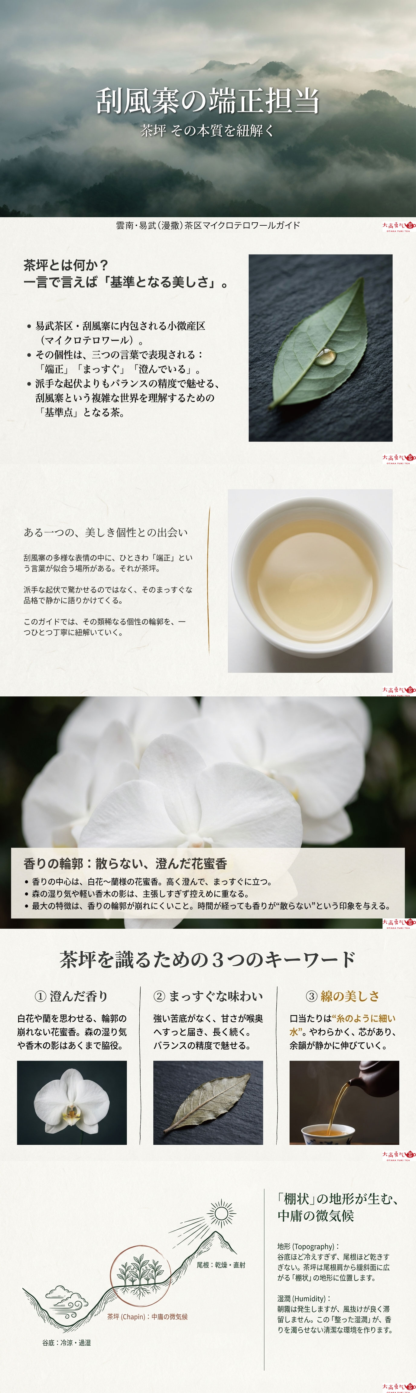 産地解説・雲南／易武刮風寨茶坪の資料画像 1