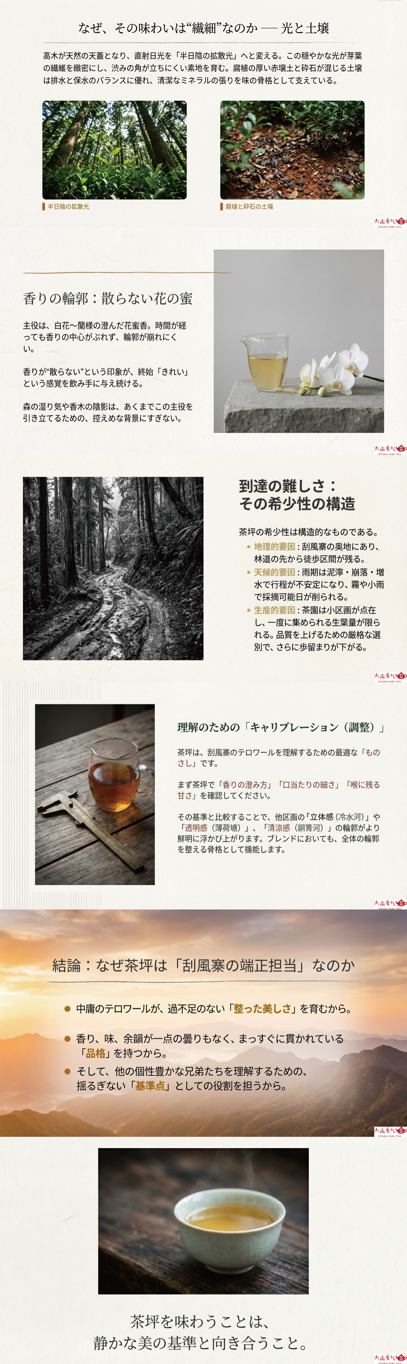 産地解説・雲南／易武刮風寨茶坪の資料画像 2