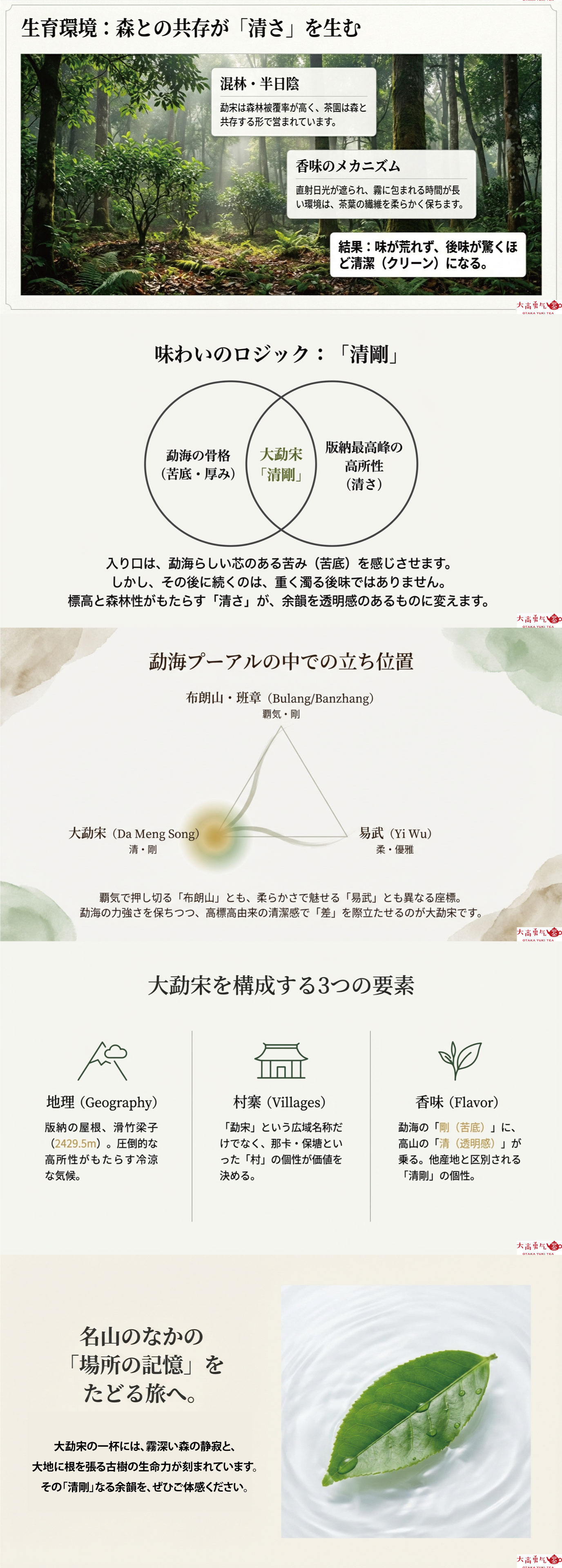 産地解説・雲南／大勐宋の資料画像 2