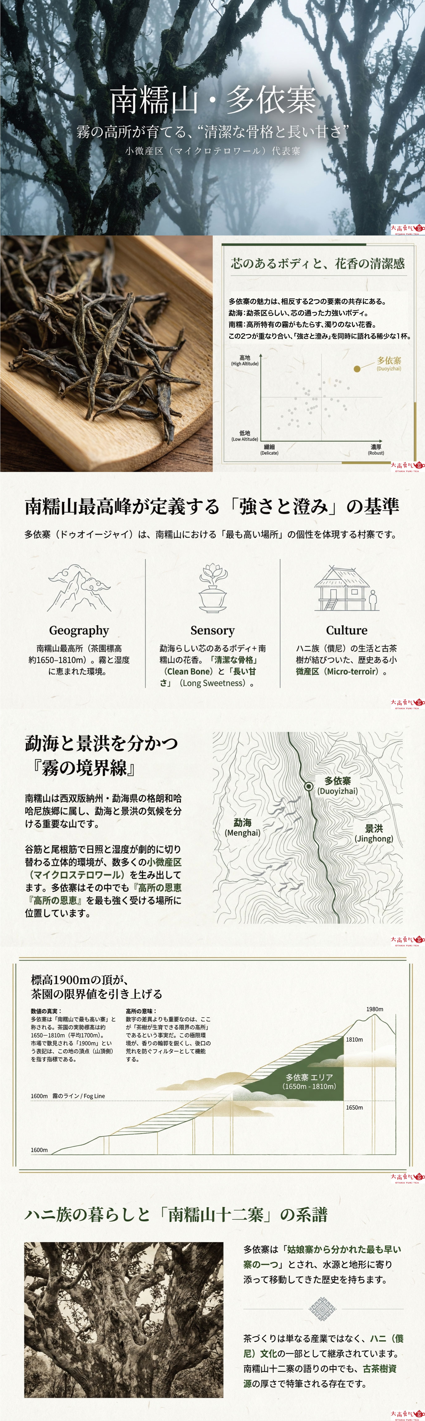 産地解説・雲南／勐海南糯山多依寨の資料画像 1
