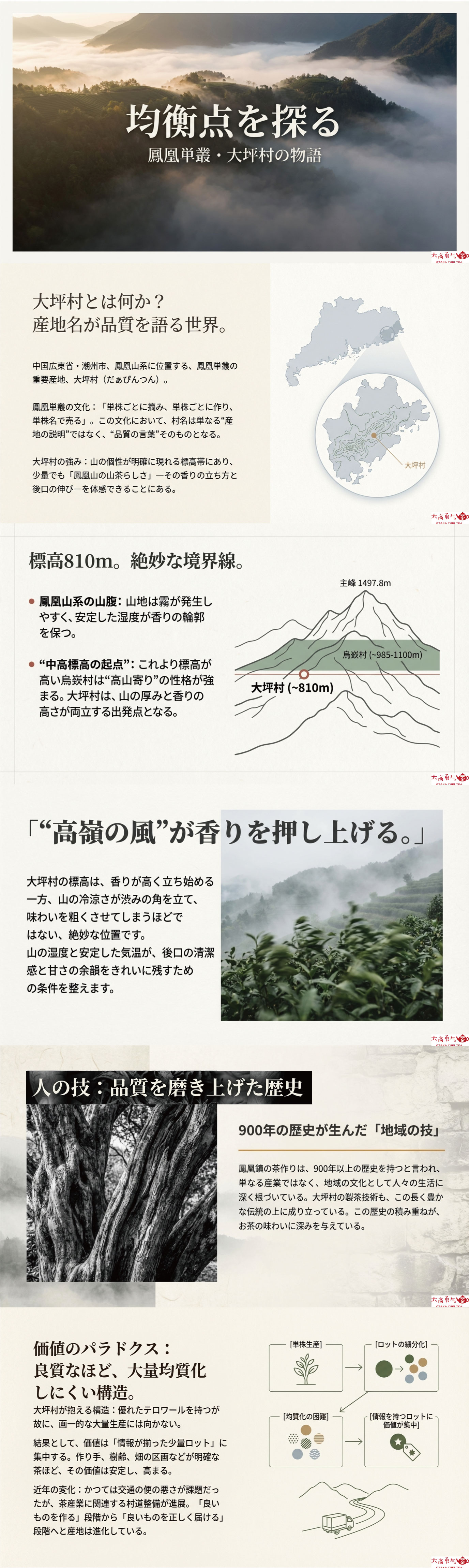 産地解説・広東／鳳凰単叢大坪村の資料画像 1