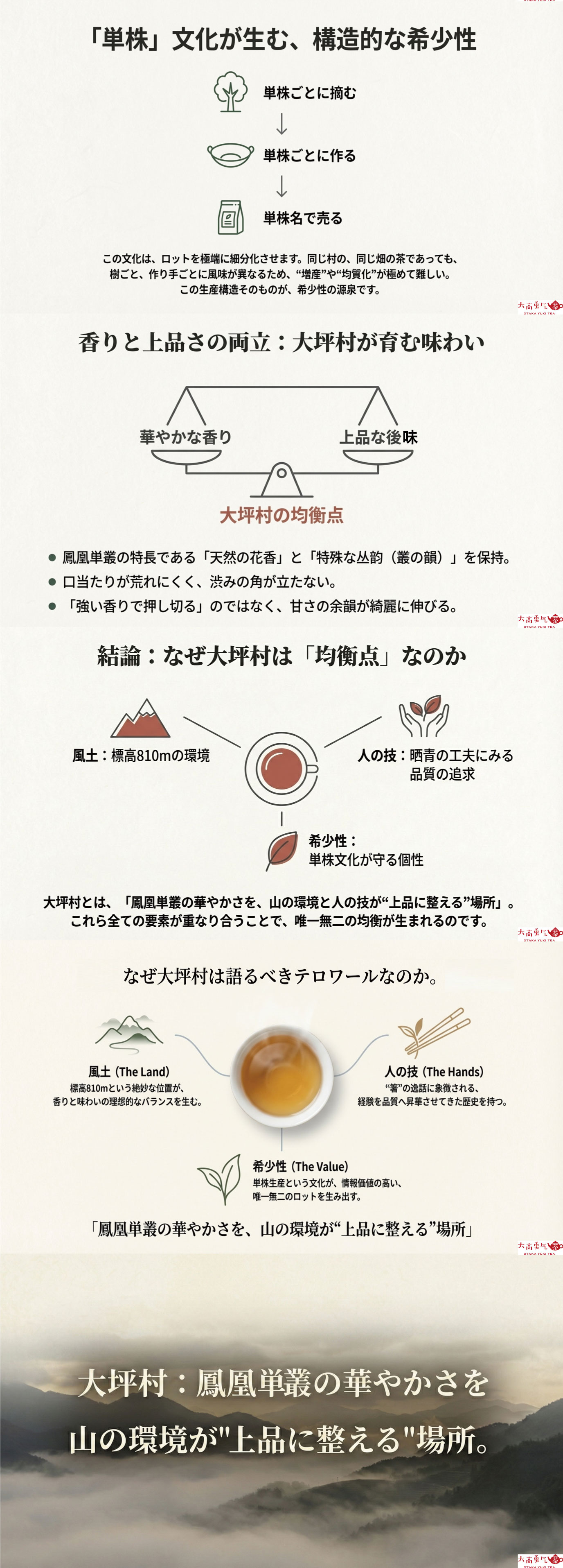 産地解説・広東／鳳凰単叢大坪村の資料画像 2