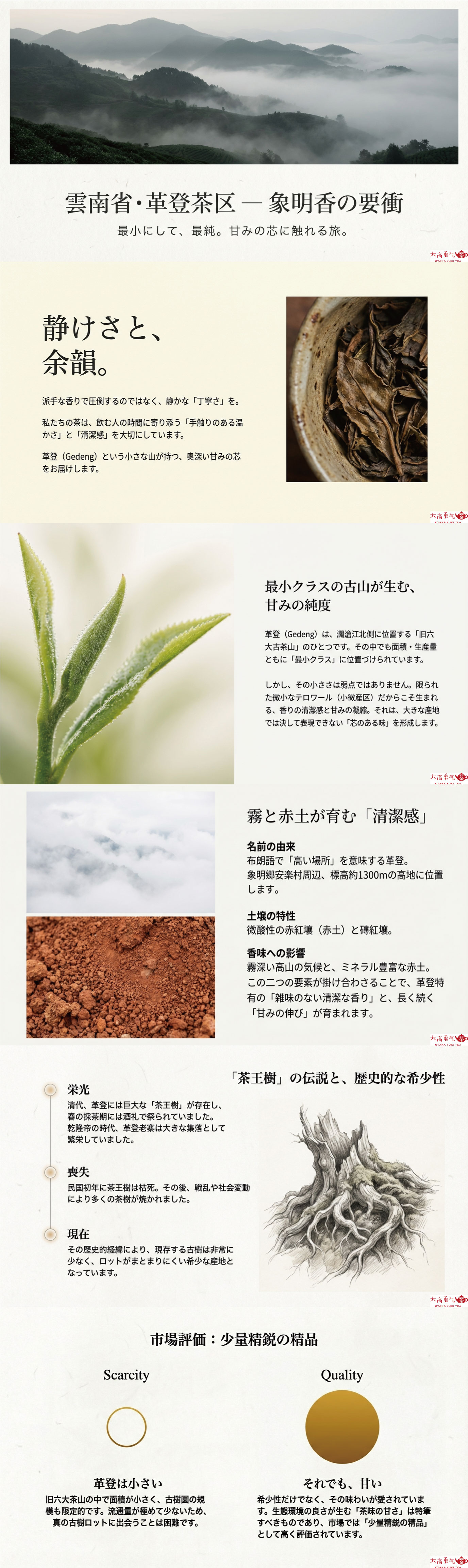 産地解説・雲南／古六大茶山・革登の資料画像 1