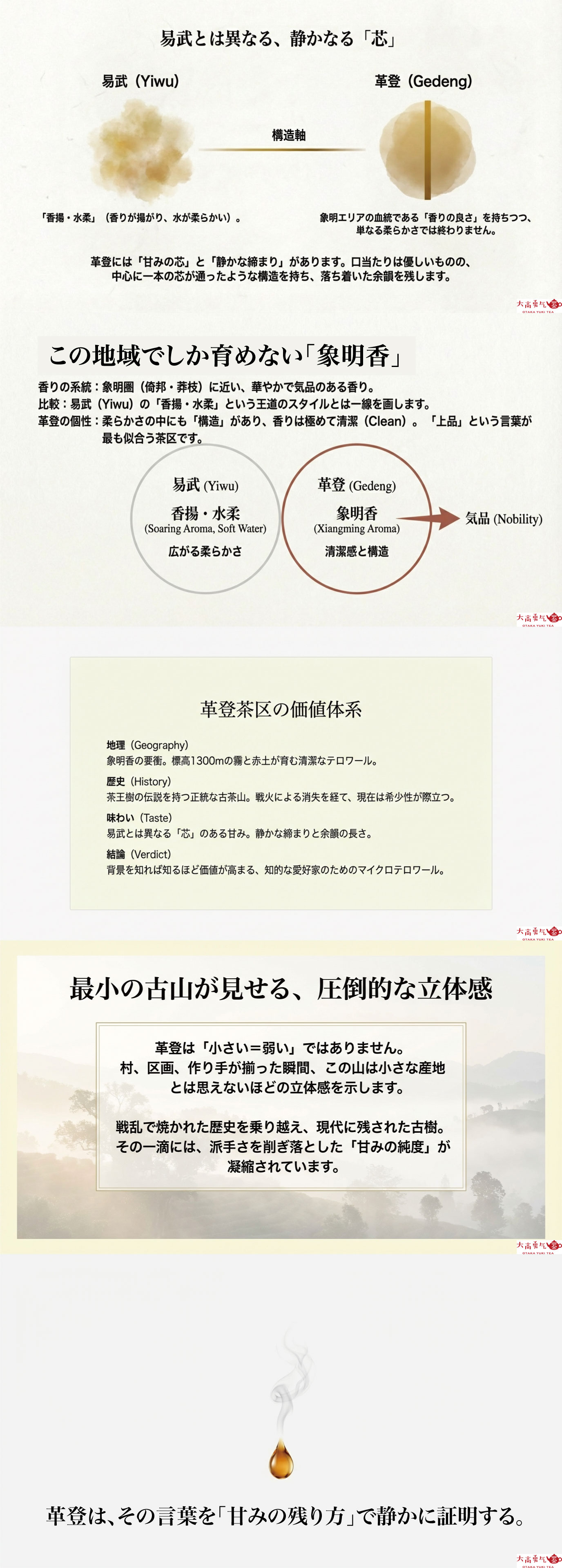 産地解説・雲南／古六大茶山・革登の資料画像 2