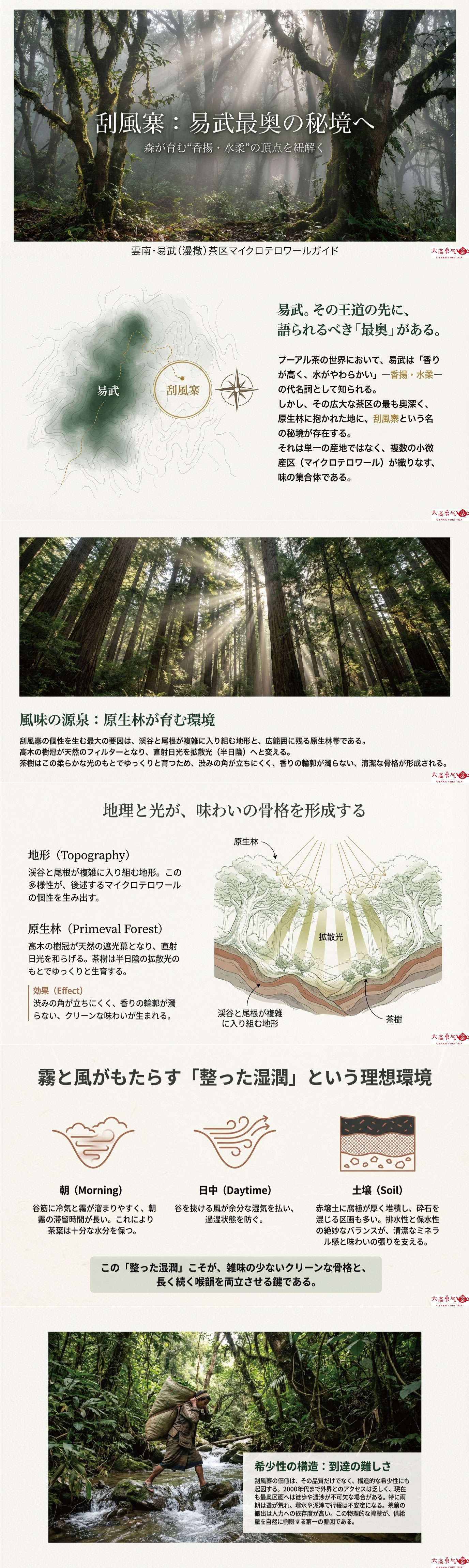 産地解説・雲南／易武刮風寨の資料画像 1