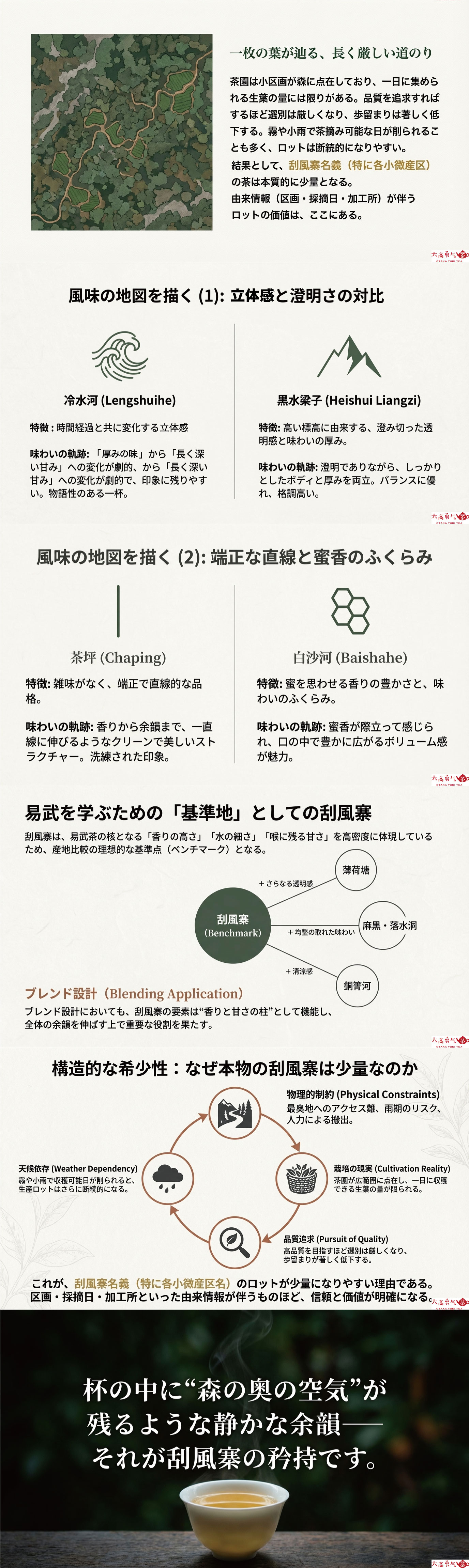 産地解説・雲南／易武刮風寨の資料画像 2