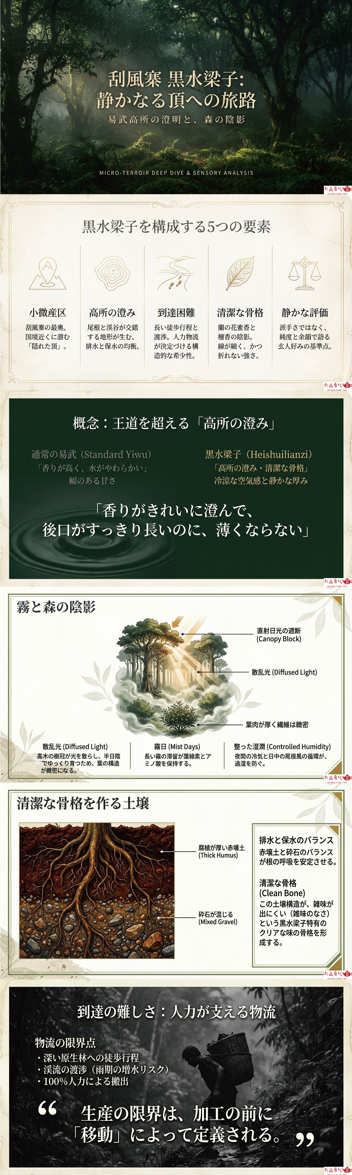 産地解説・雲南／易武黒水梁子の資料画像 1