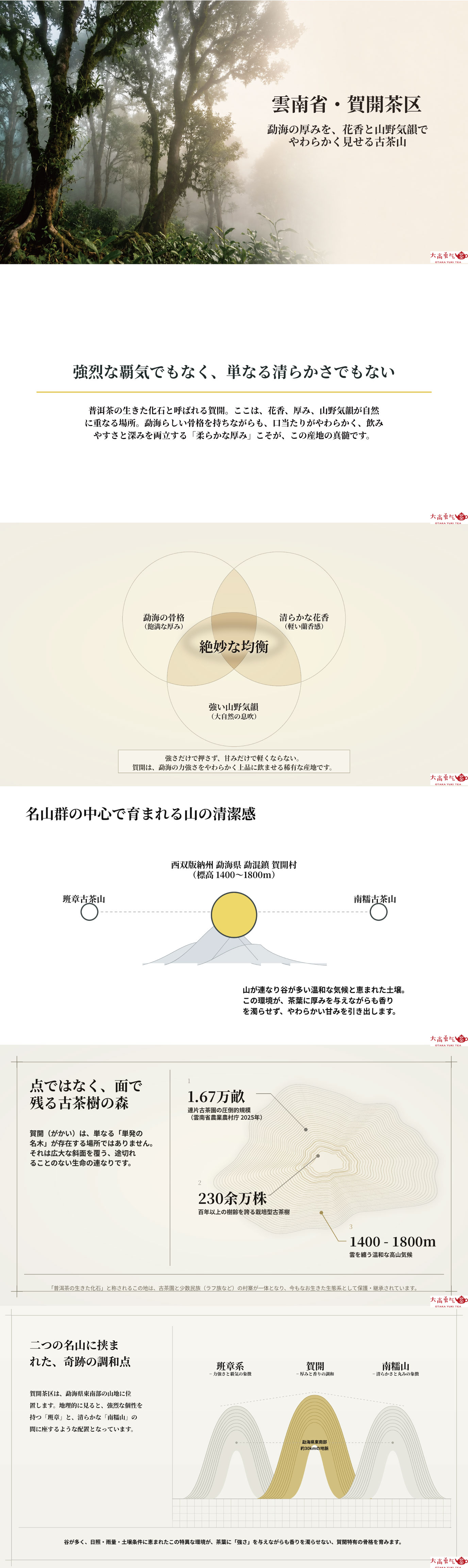 産地解説・雲南／賀開の資料画像 1