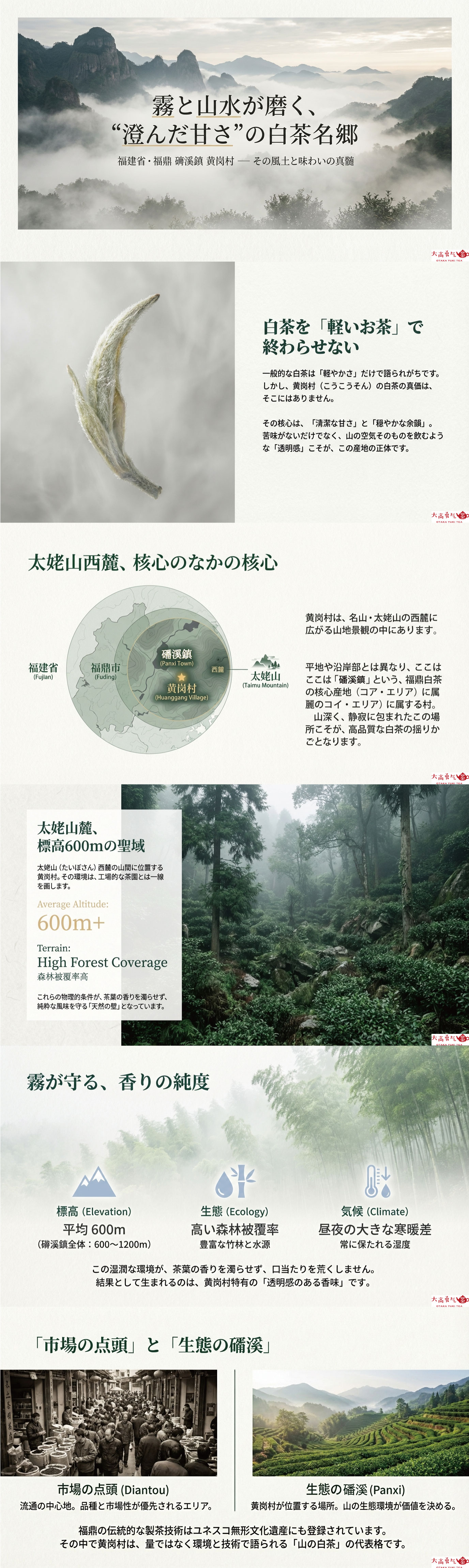 産地解説・福建／福鼎磻溪黄岗村の資料画像 1