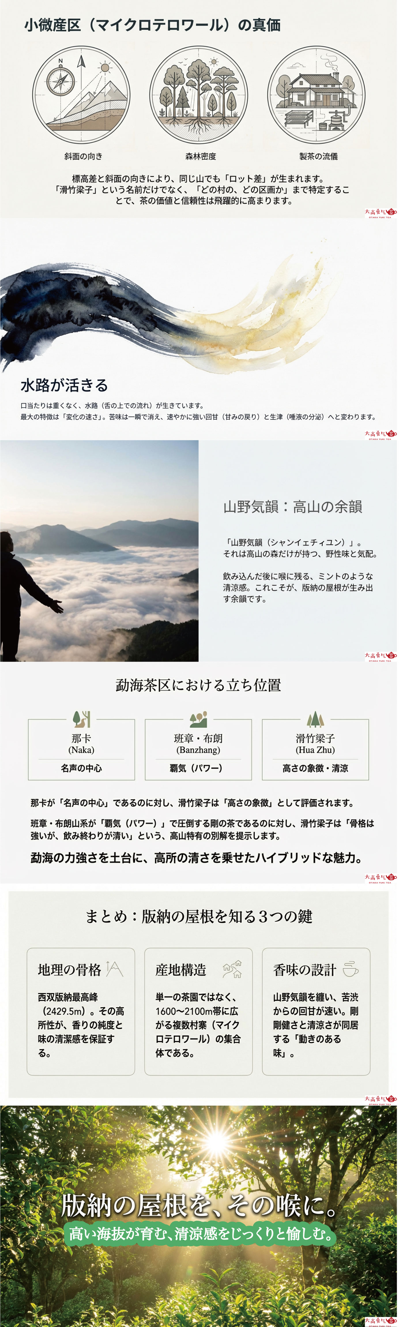 産地解説・雲南／滑竹梁子の資料画像 2
