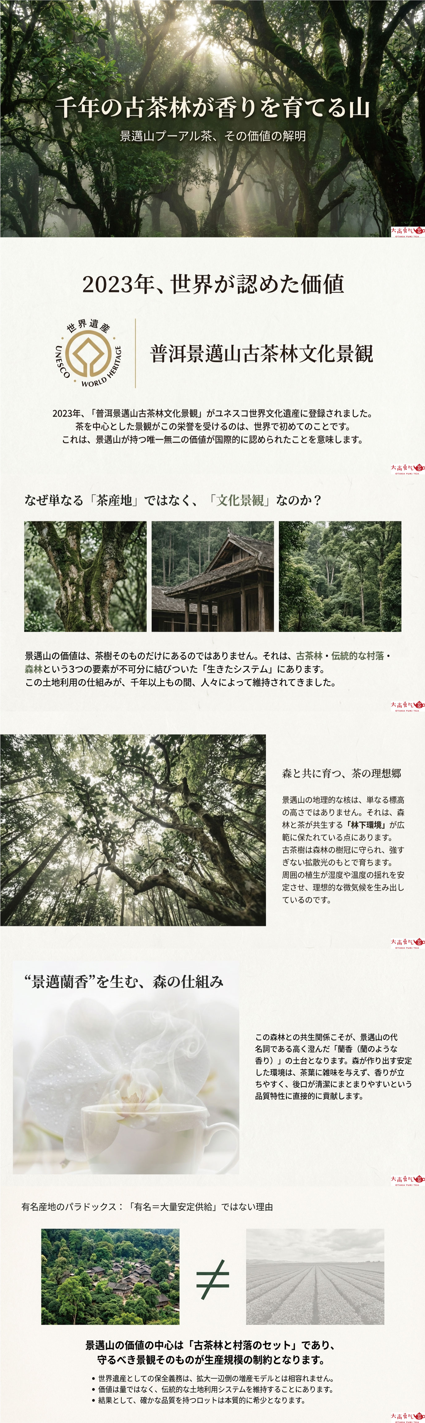 産地解説・雲南／普洱景邁山の資料画像 1