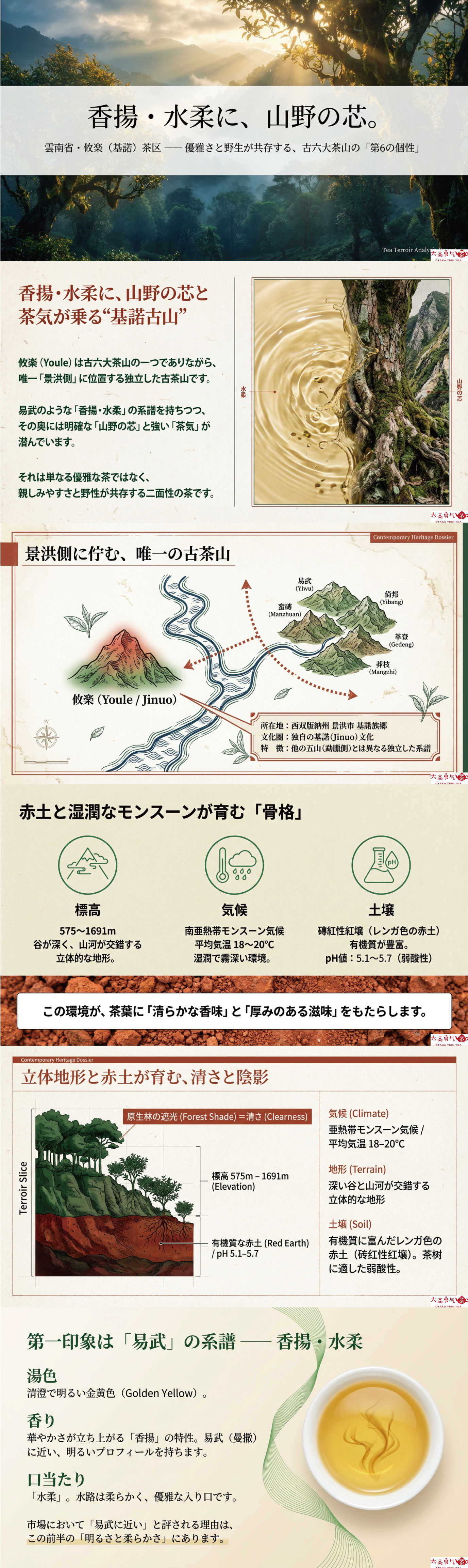 産地解説・雲南／古六大茶山・攸楽の資料画像 1