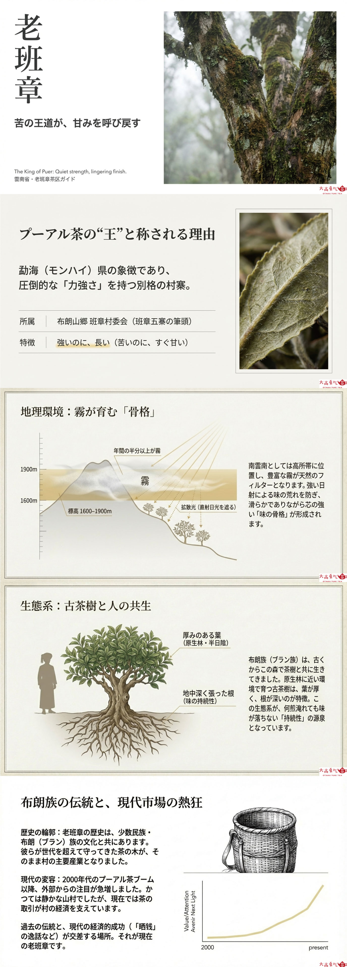 産地解説・雲南／老班章の資料画像 1