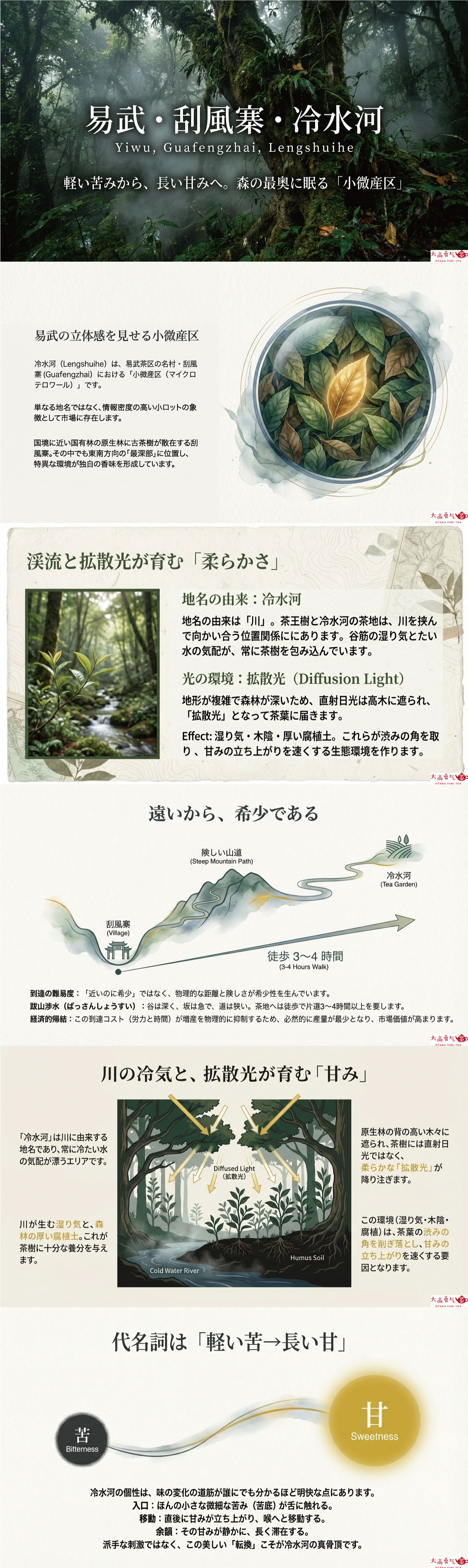 産地解説・雲南／易武刮風寨冷水河の資料画像 1