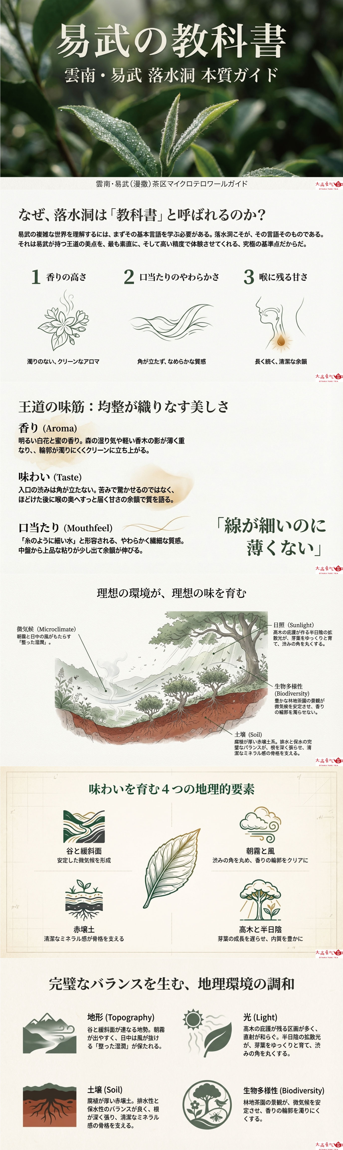 産地解説・雲南／易武落水洞の資料画像 1