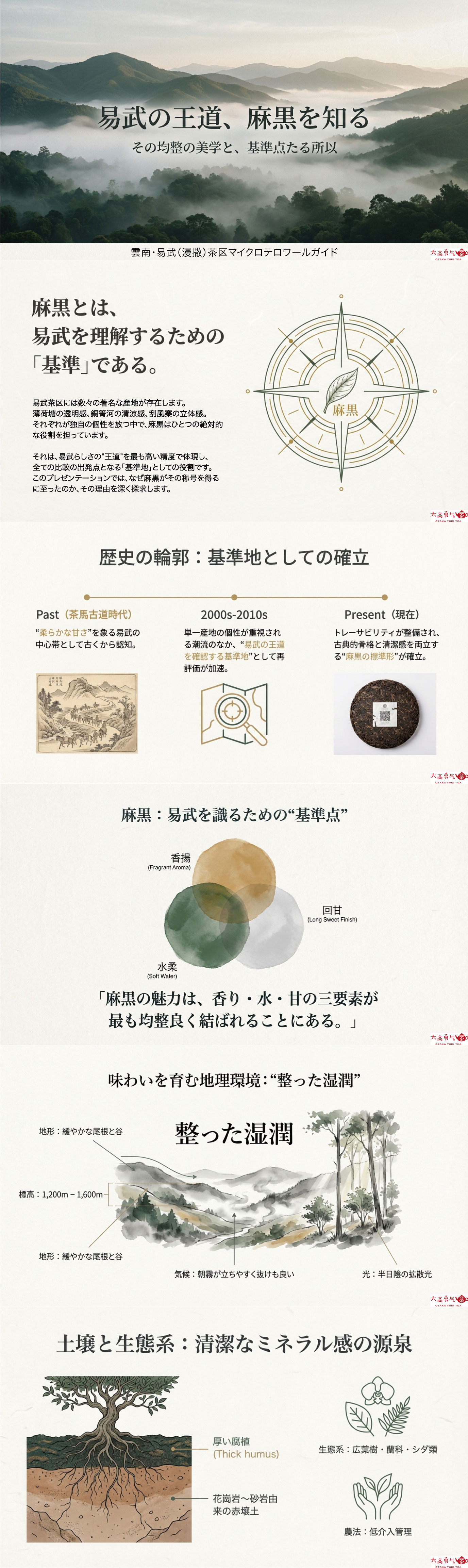 産地解説・雲南／易武麻黒の資料画像 1
