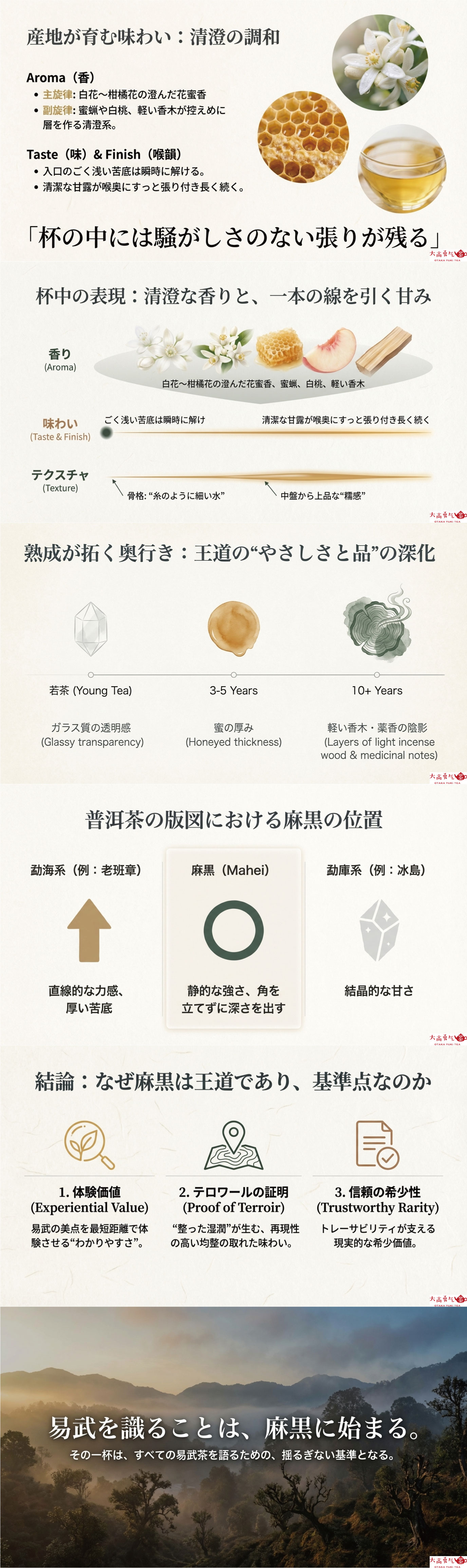 産地解説・雲南／易武麻黒の資料画像 2