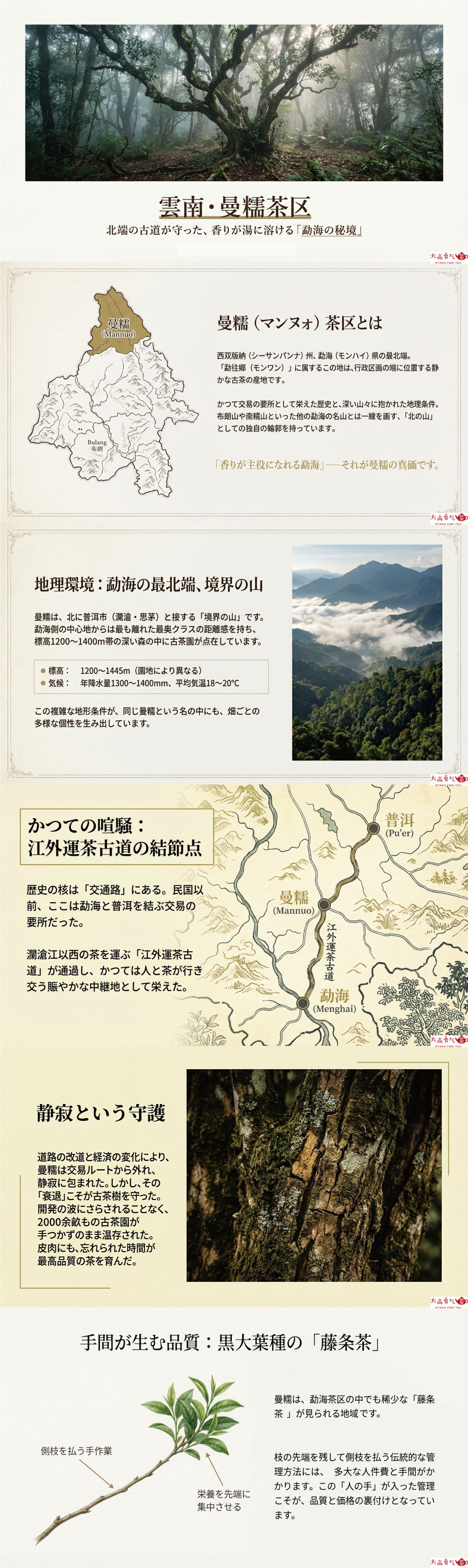 産地解説・雲南／曼糯の資料画像 1