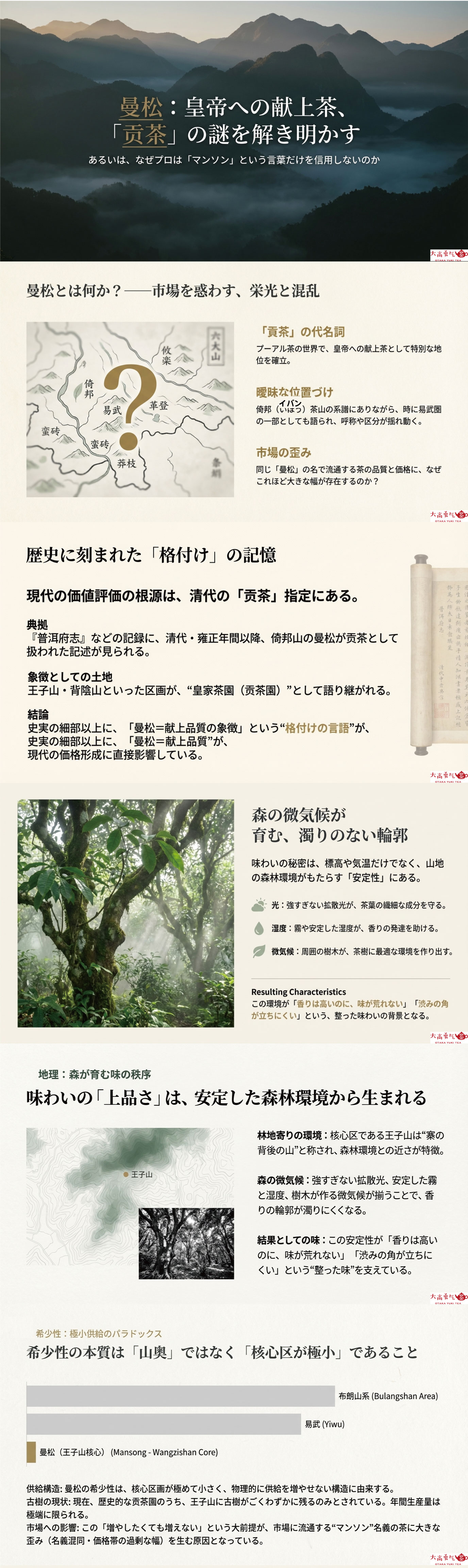 産地解説・雲南／倚邦曼松王子山の資料画像 1