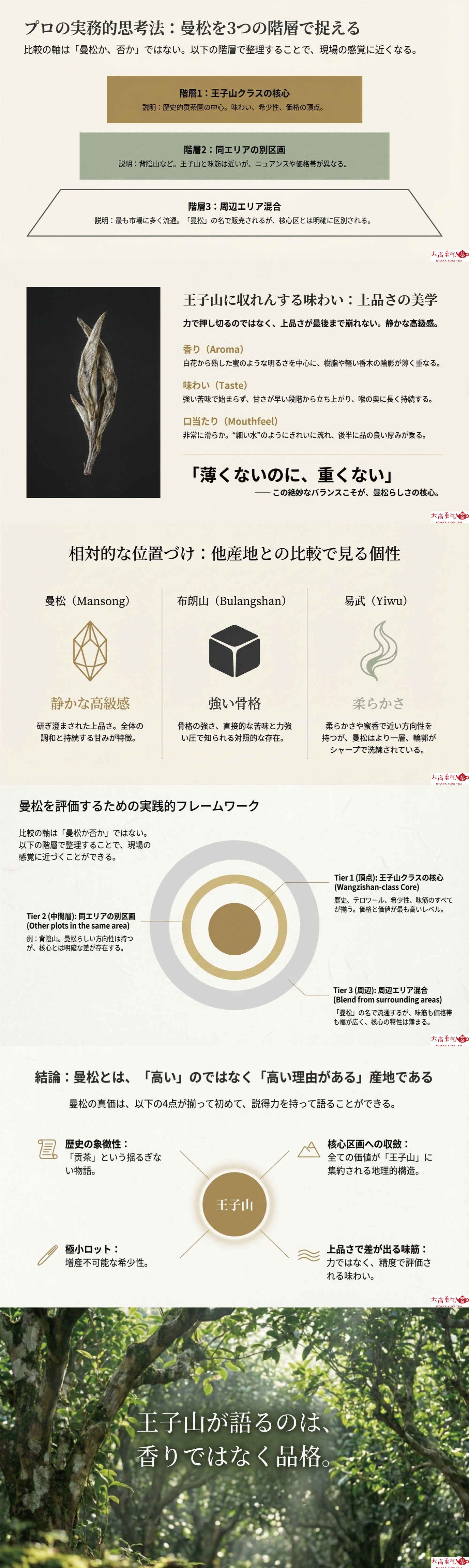 産地解説・雲南／倚邦曼松王子山の資料画像 2