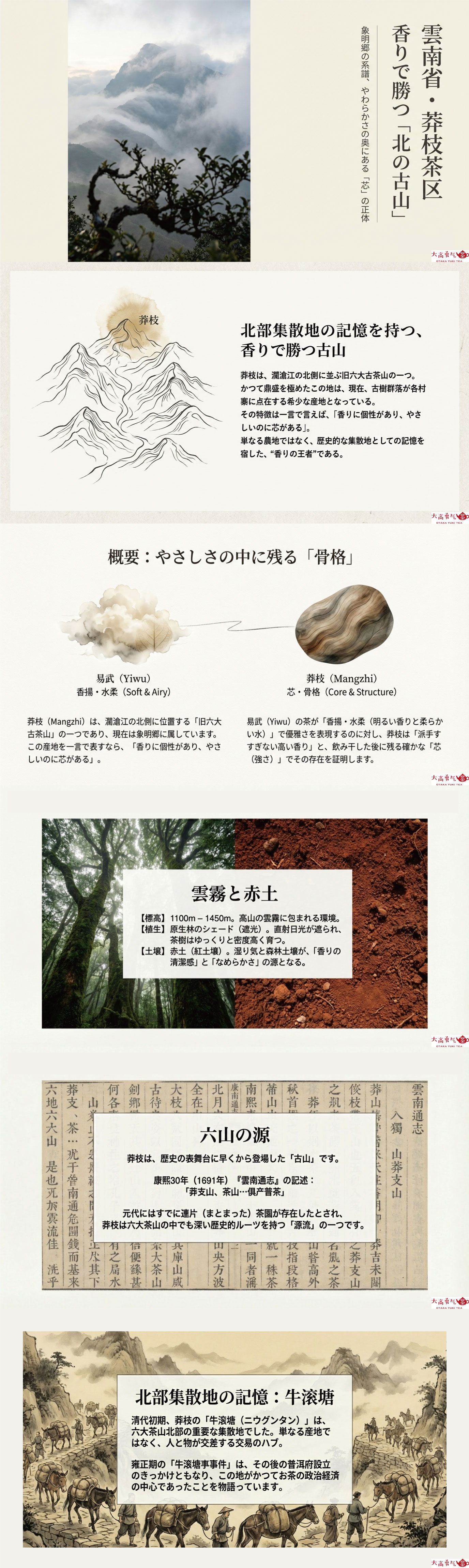 産地解説・雲南／古六大茶山・莽枝の資料画像 1