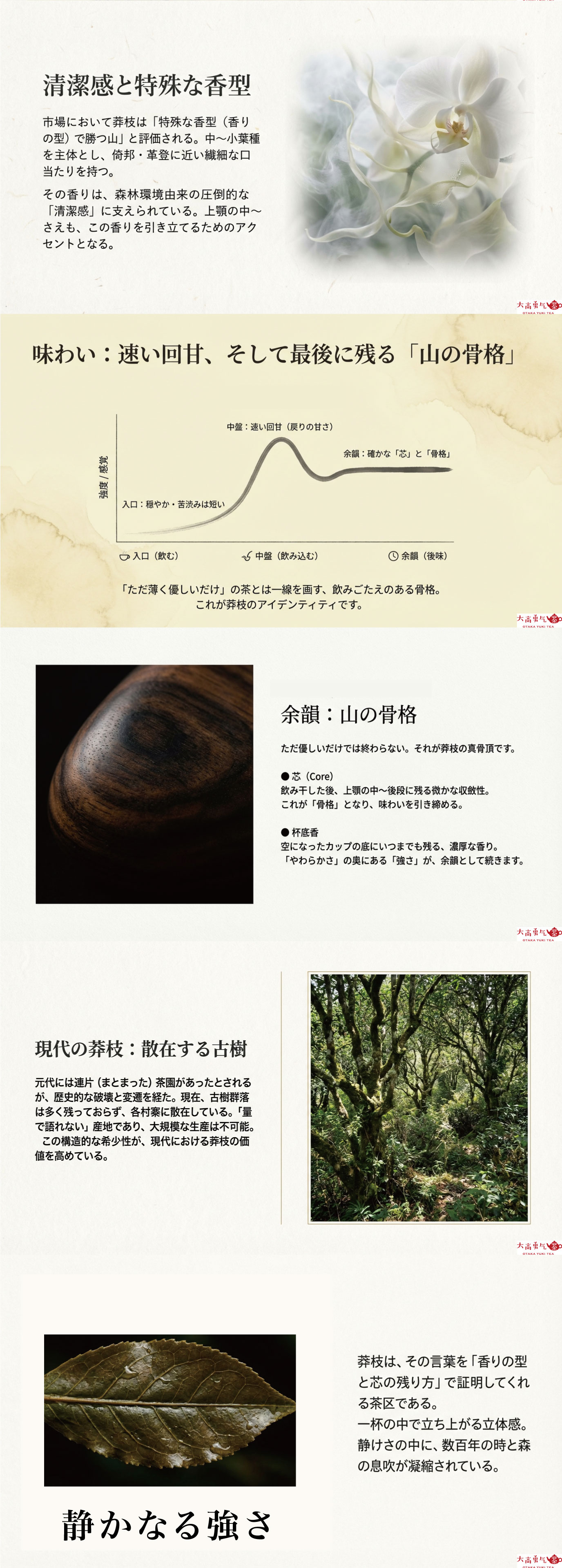 産地解説・雲南／古六大茶山・莽枝の資料画像 2