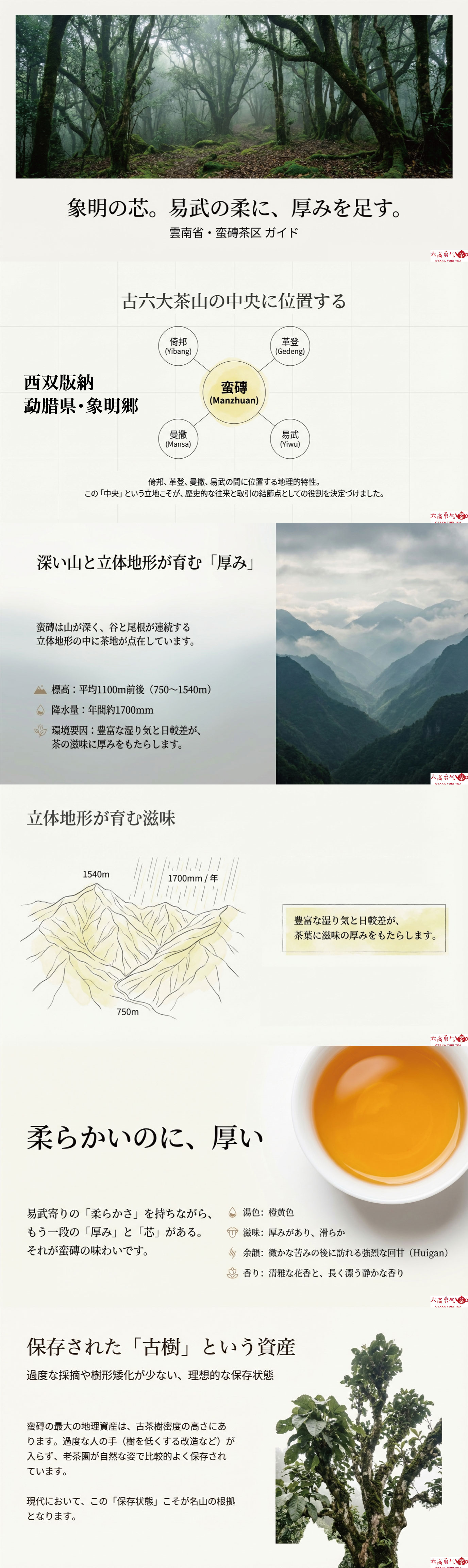 産地解説・雲南／古六大茶山・蛮磚の資料画像 1