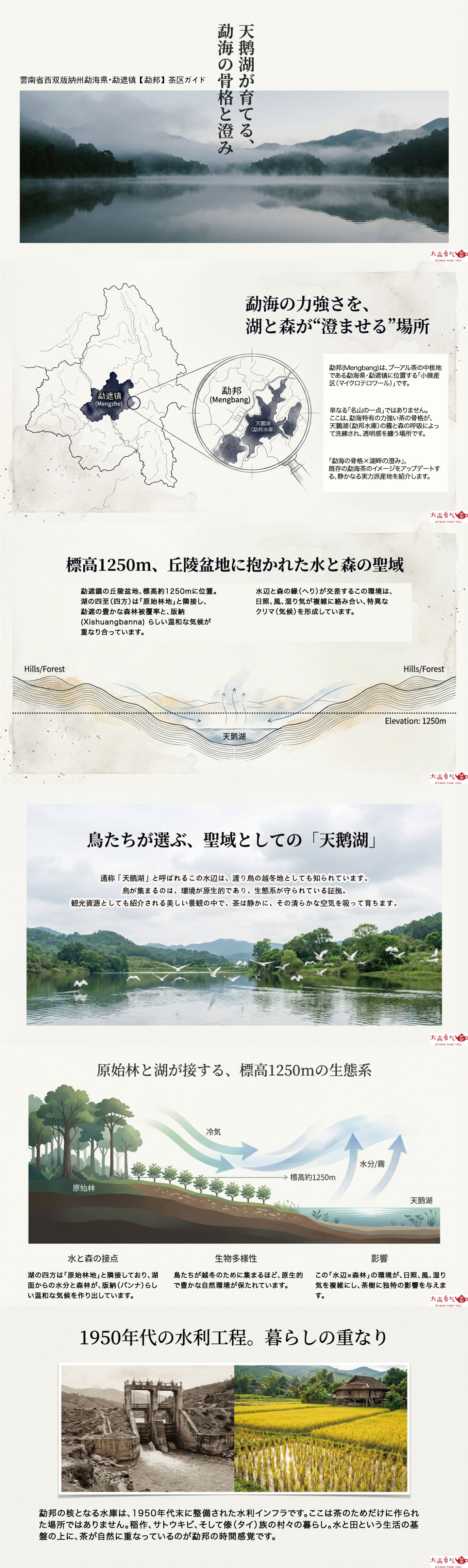 産地解説・雲南／勐邦の資料画像 1