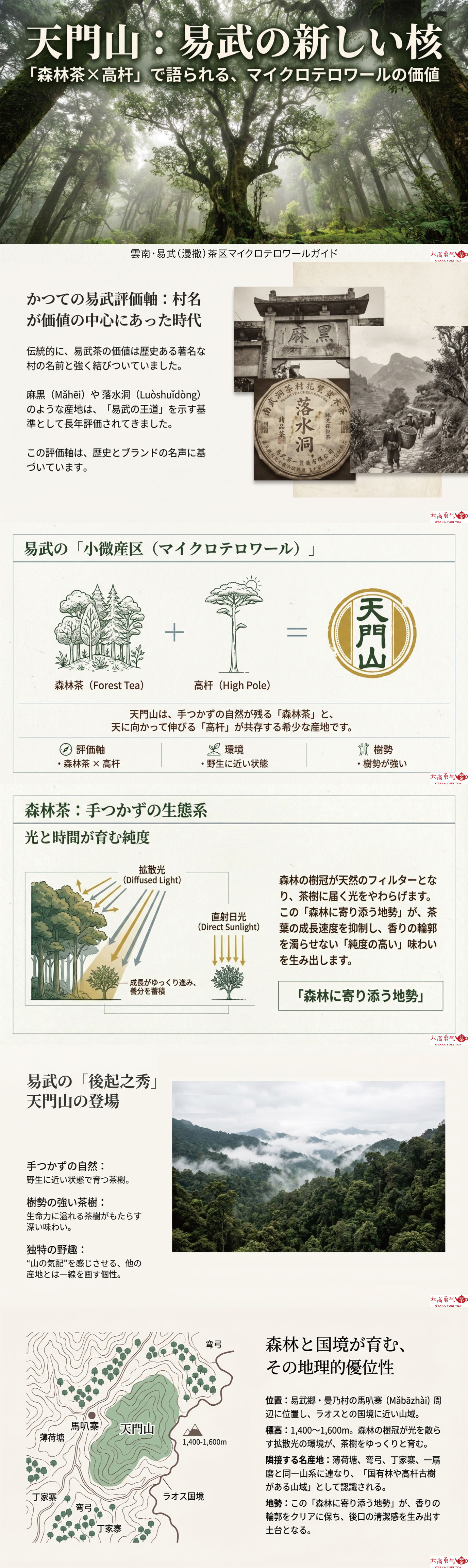 産地解説・雲南／易武天門山の資料画像 1