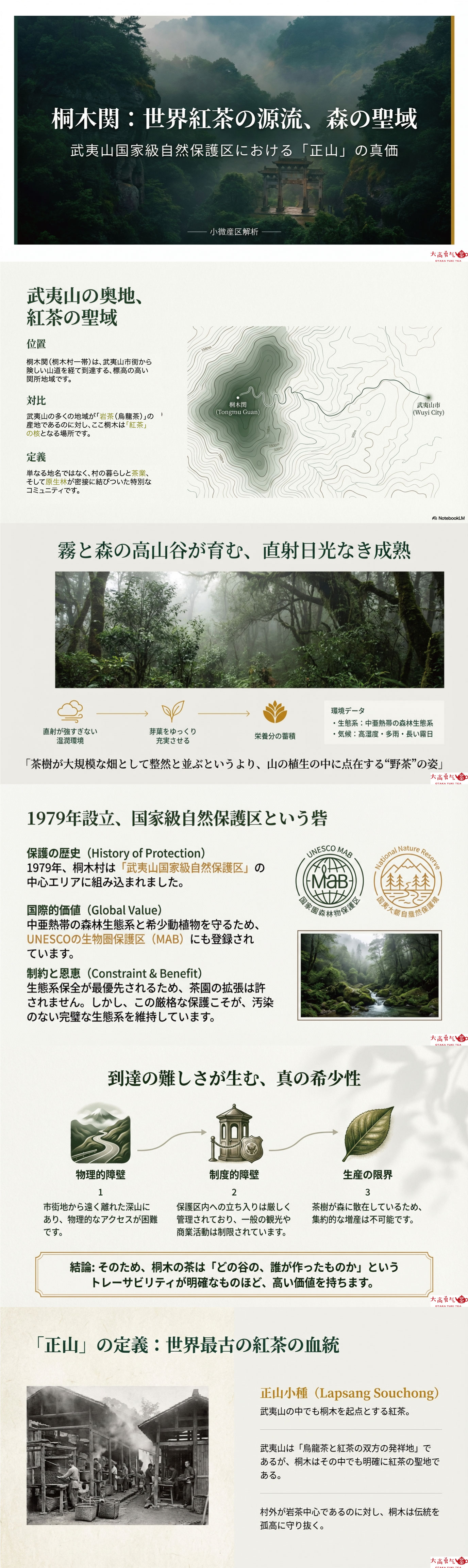 産地解説・福建／桐木関の資料画像 1