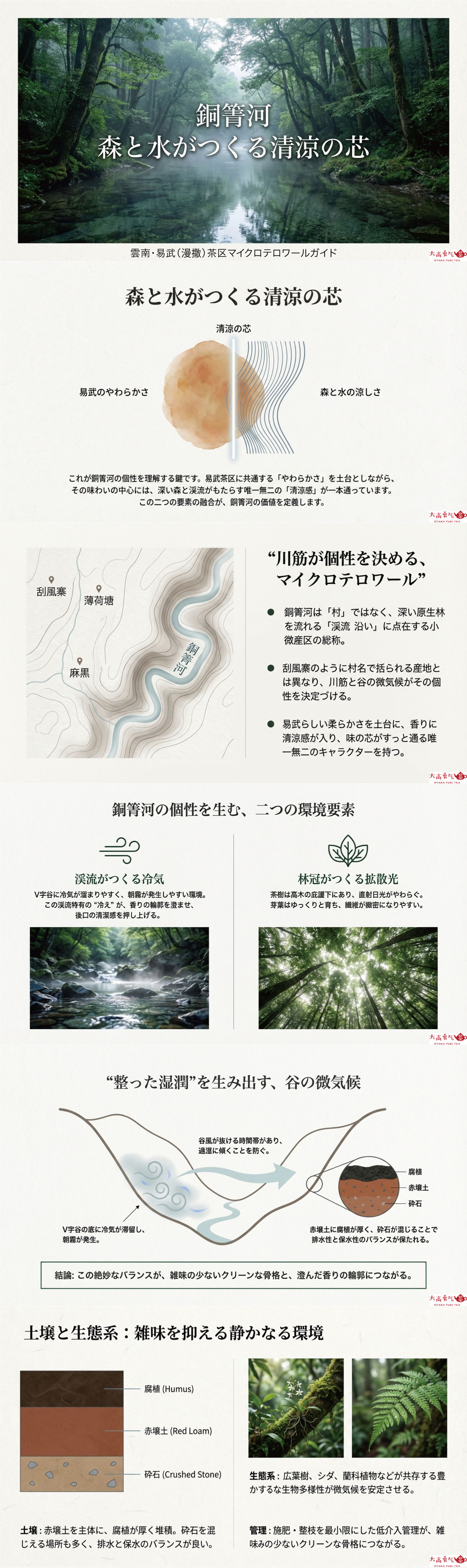 産地解説・雲南／易武銅箐河の資料画像 1