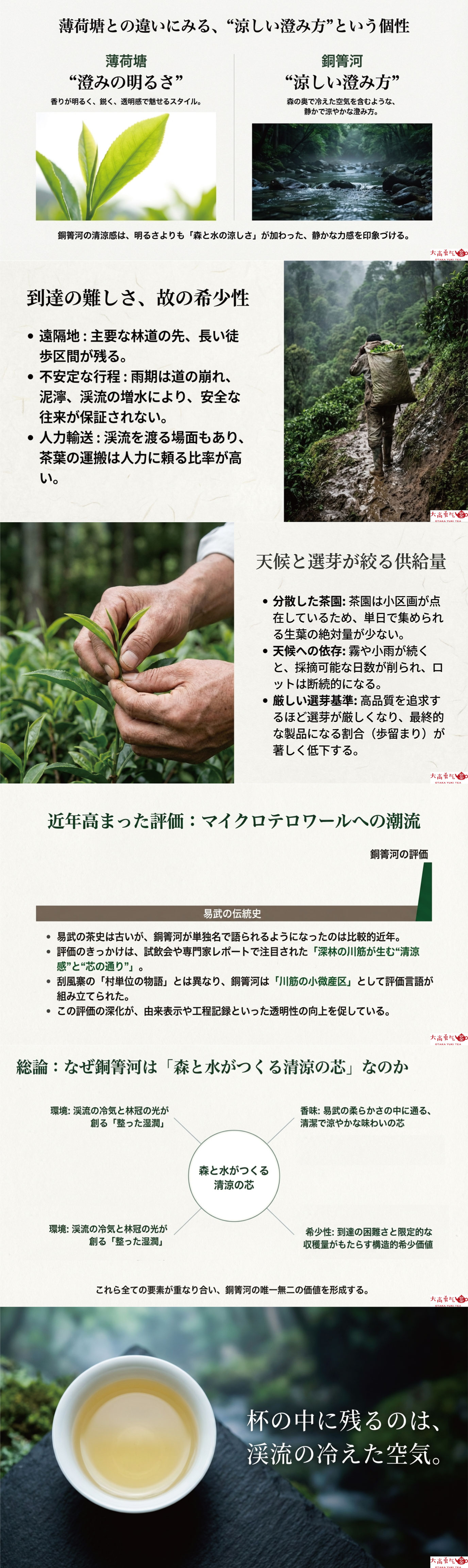 産地解説・雲南／易武銅箐河の資料画像 2