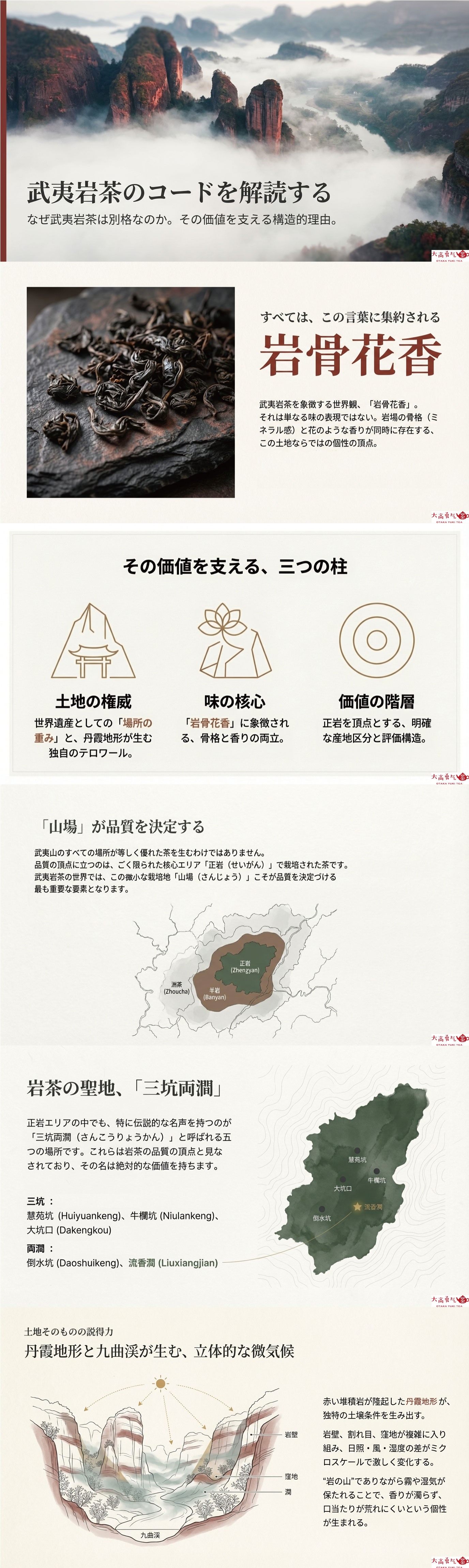 産地解説・福建／武夷岩茶正山茶の資料画像 1