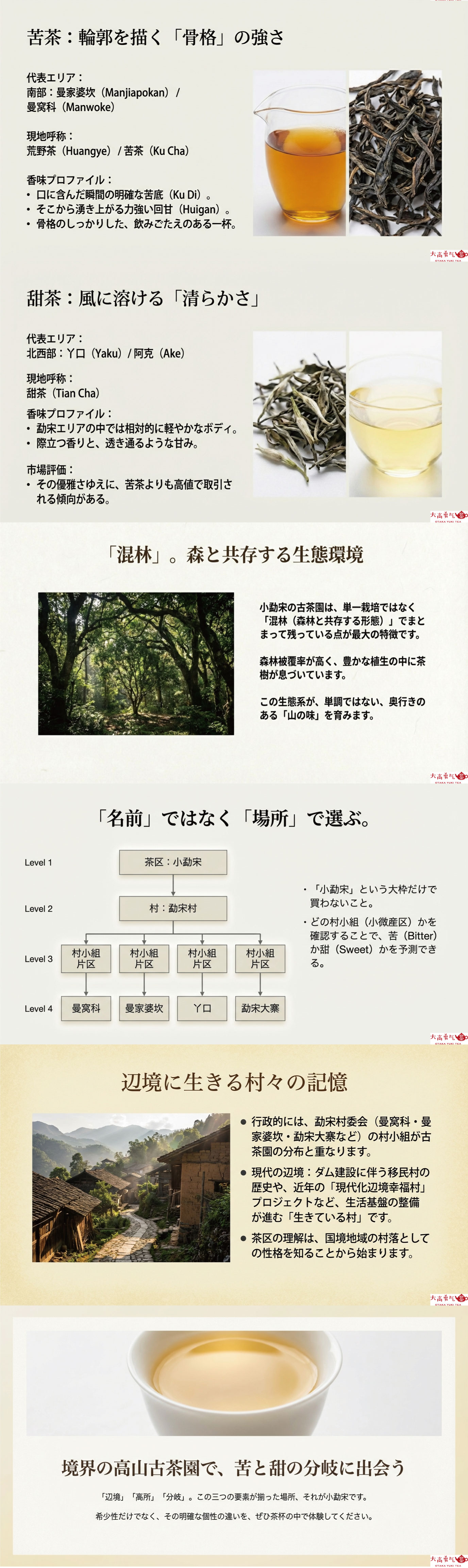 産地解説・雲南／小勐宋の資料画像 2