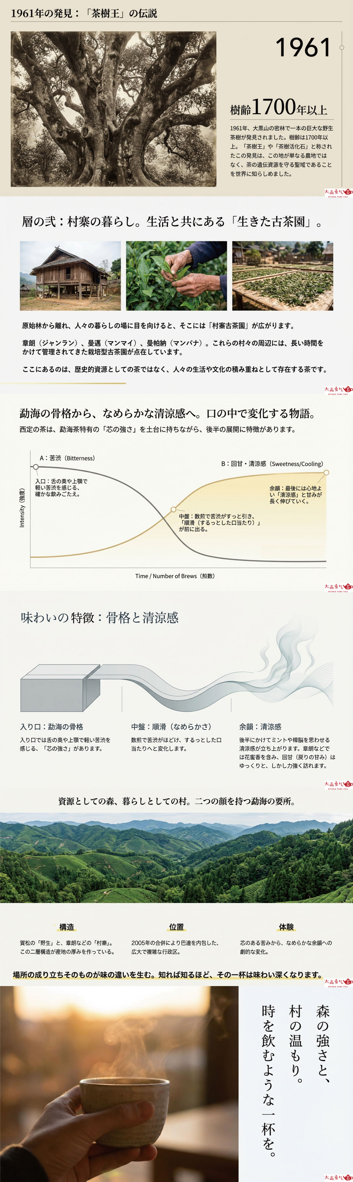 産地解説・雲南／西定の資料画像 2