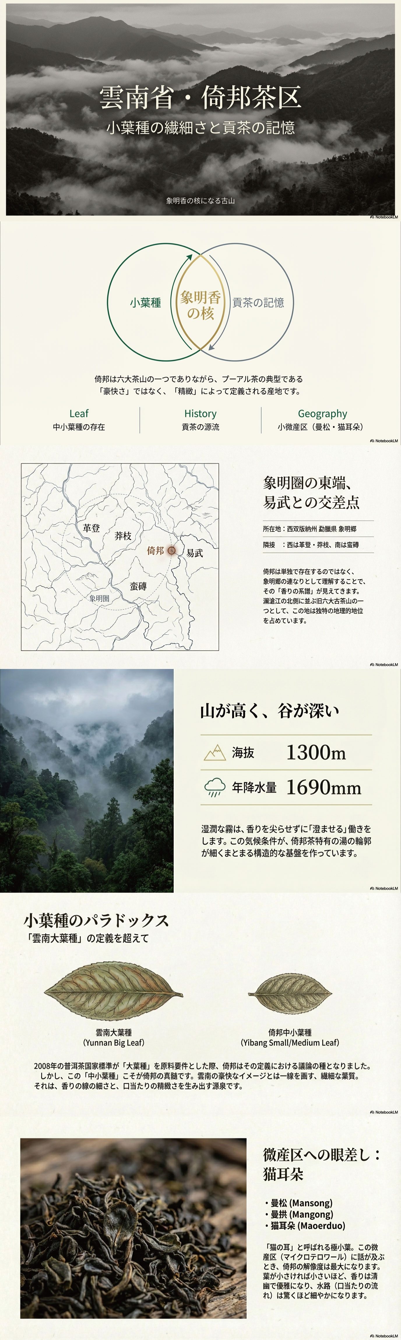 産地解説・雲南／古六大茶山・倚邦の資料画像 1