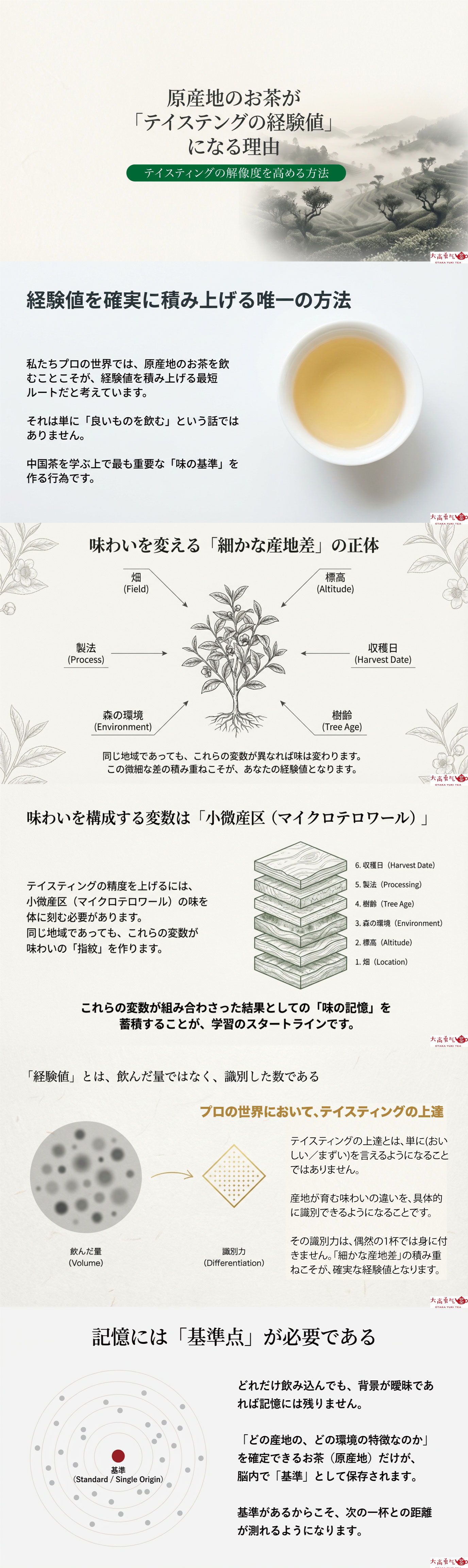 原産地の中国茶が「テイスティングの経験値」の資料画像 1
