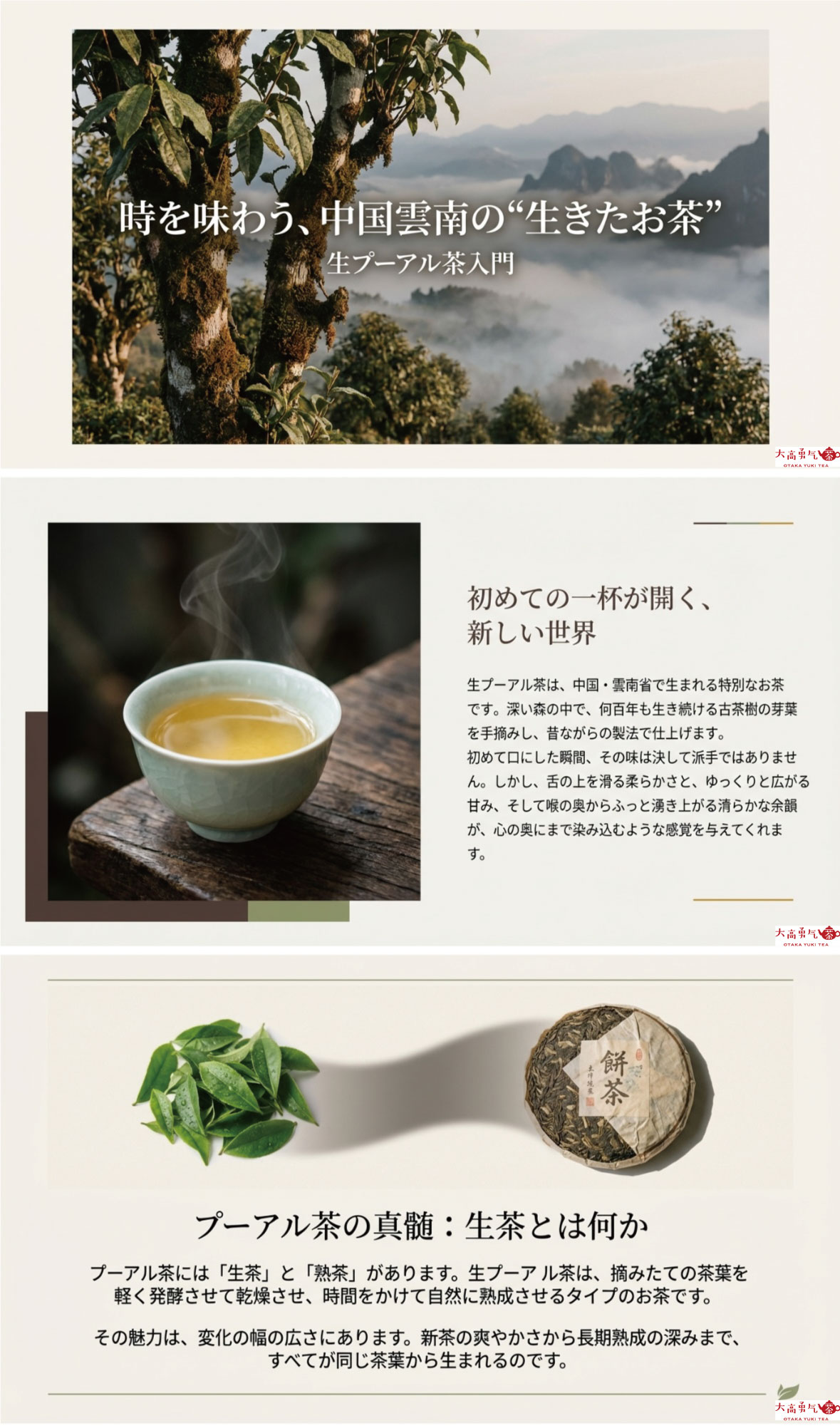 生プーアル茶の紹介の資料画像 1
