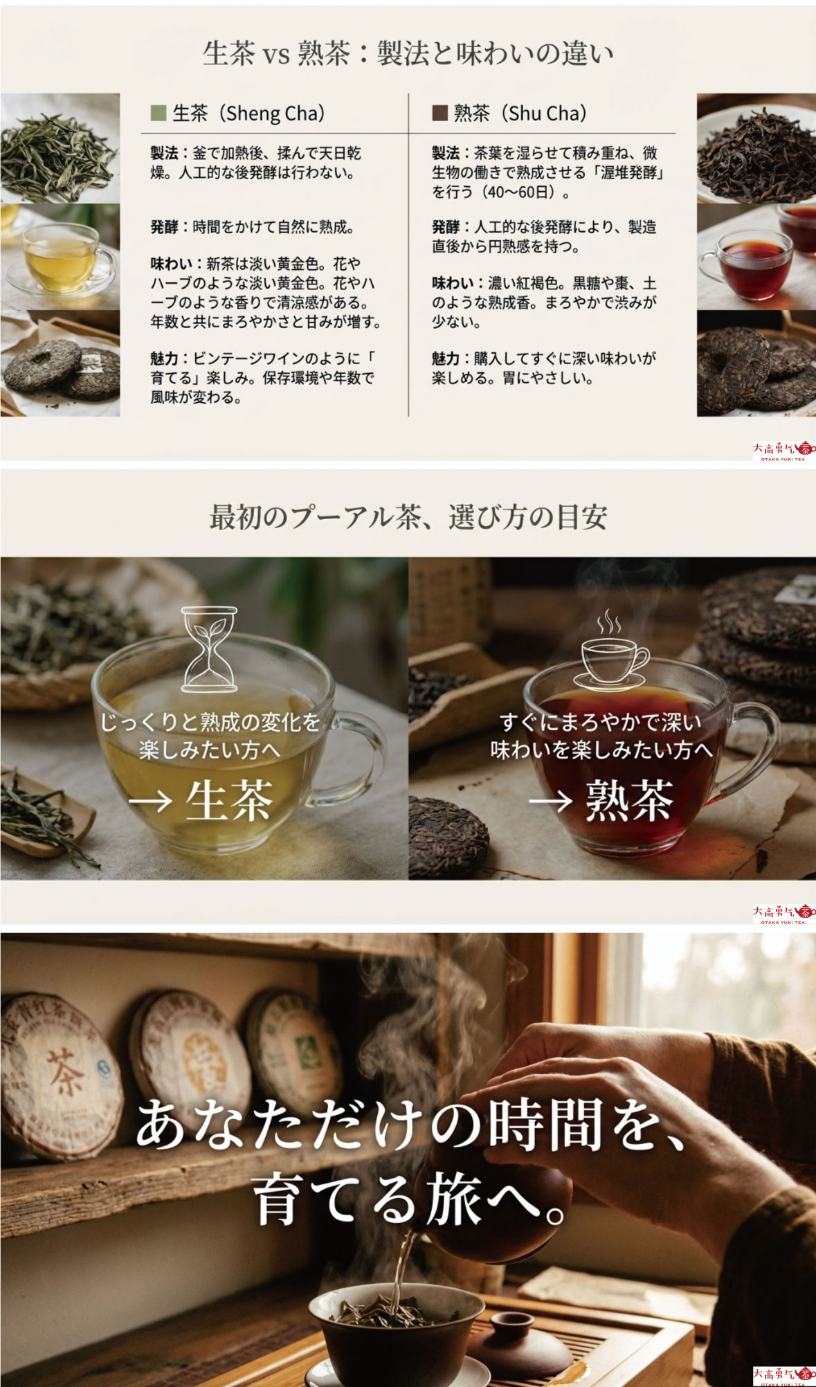 生プーアル茶の紹介の資料画像 5