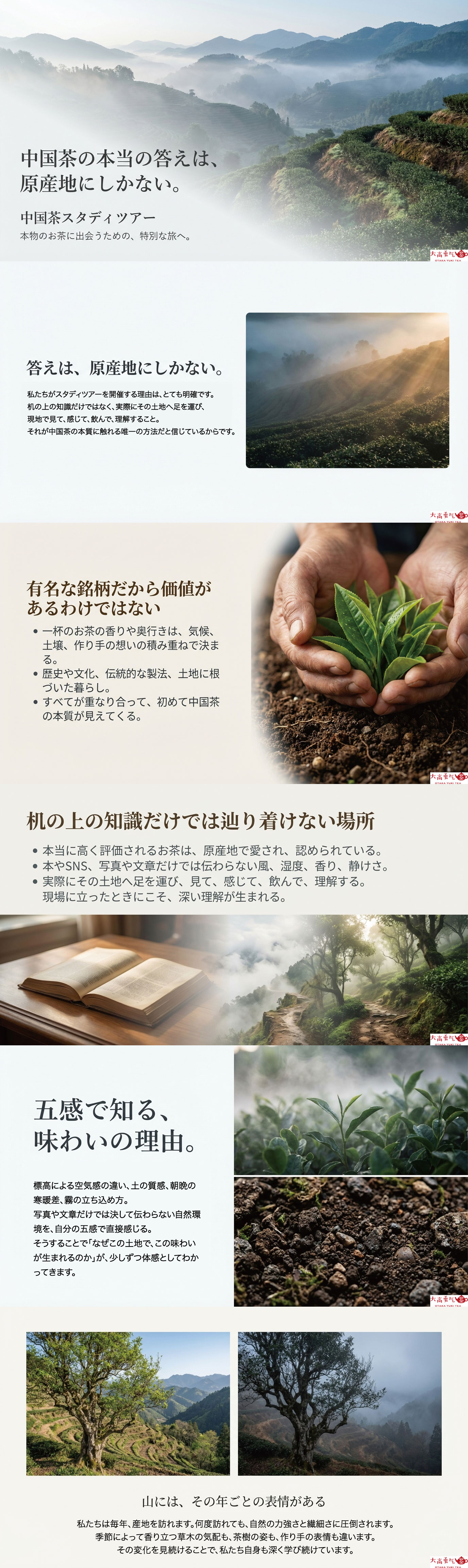 中国茶の答えは原産地にしかないの資料画像 1