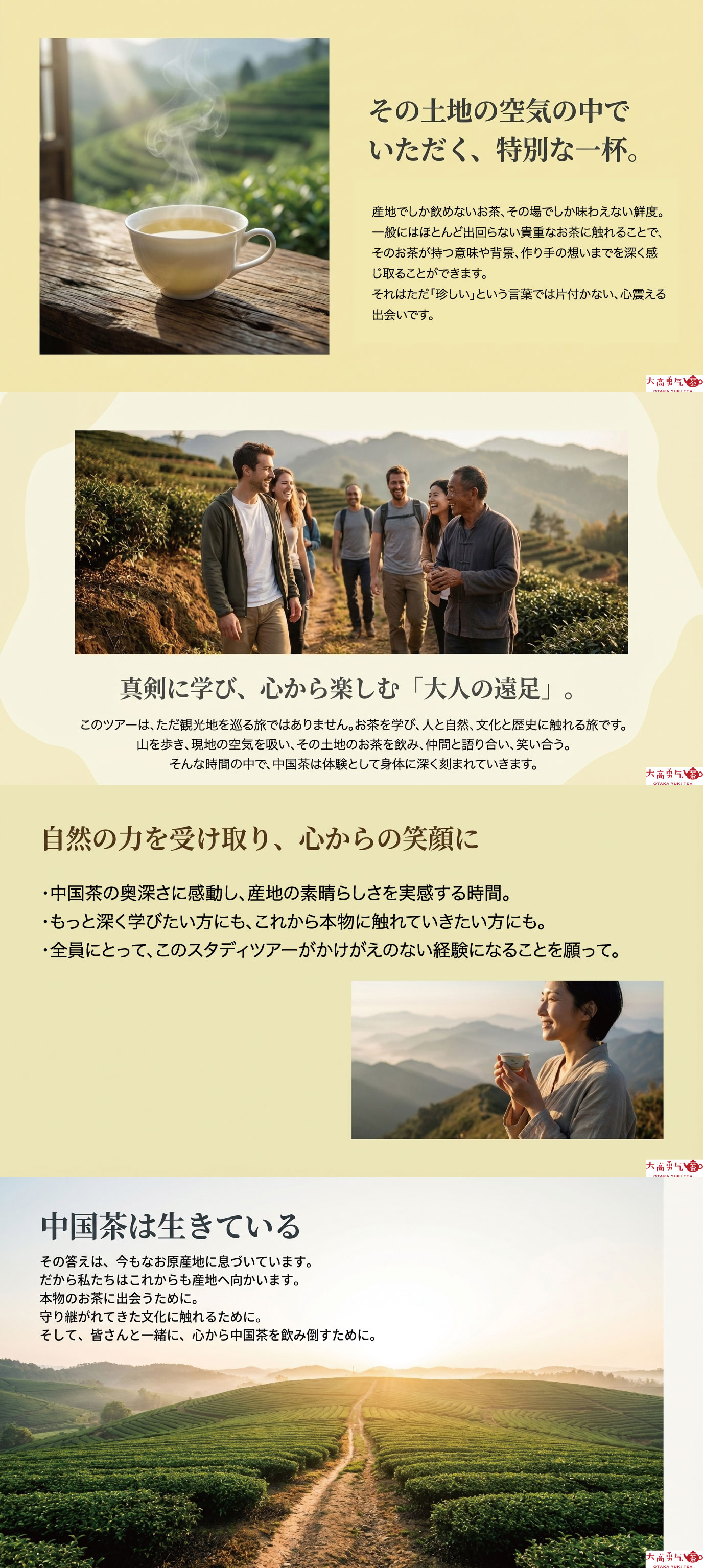 中国茶の答えは原産地にしかないの資料画像 2