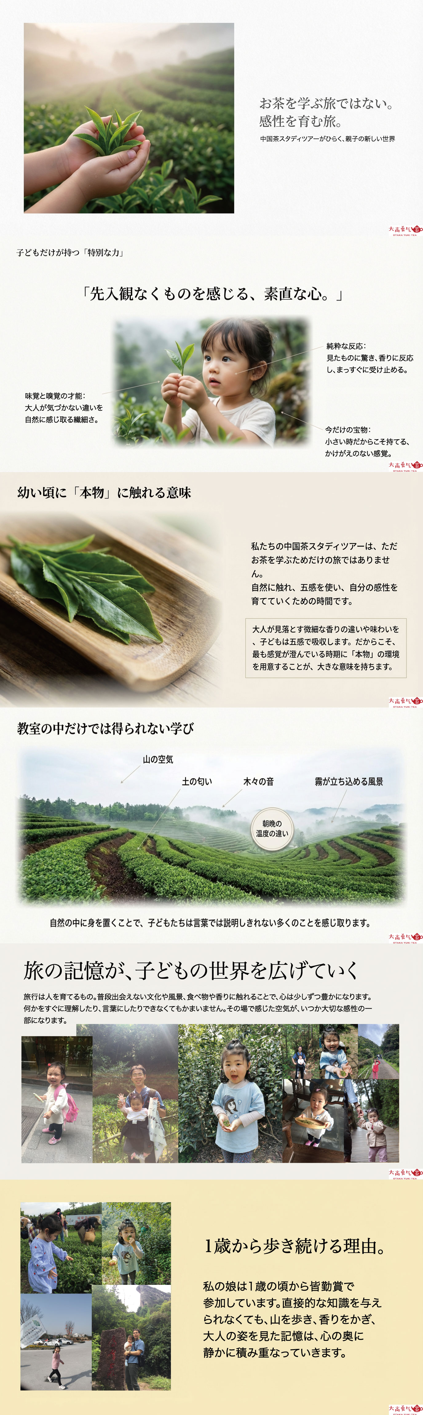 本物の中国茶と自然が育む子供の感性の資料画像 1